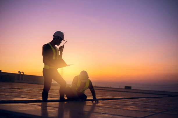 Best Flat Roof Repair Services  in Mlstadt, IL