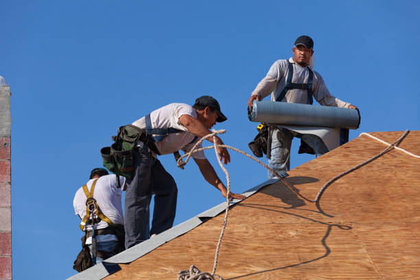 Best Roof Gutter Cleaning  in Mlstadt, IL