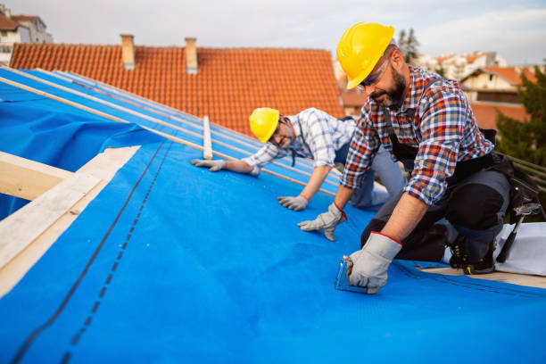 Best Storm Damage Roof Repair  in Mlstadt, IL