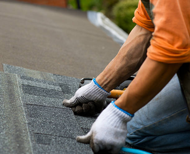 Best Roof Leak Repair  in Mlstadt, IL